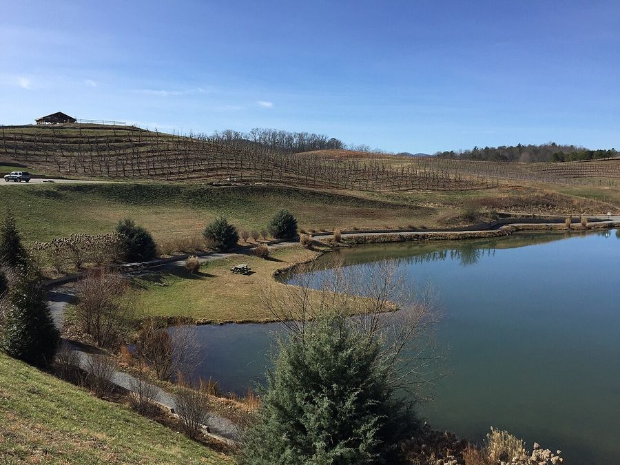 Mercier Orchards