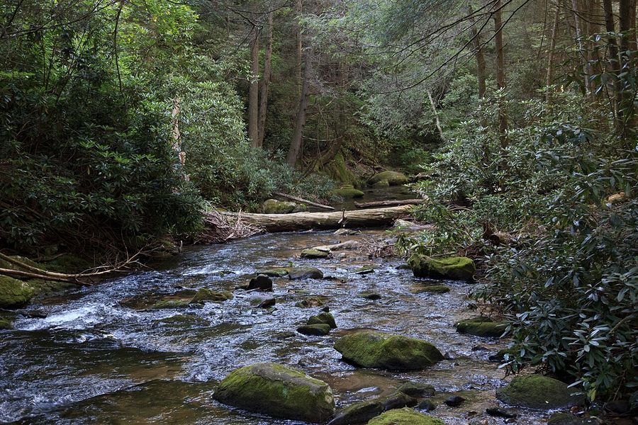 Noontootla Creek